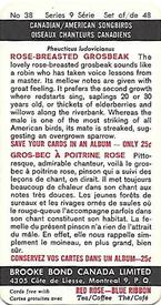 1966 Brooke Bond (Red Rose Tea) Canadian / American Songbirds (Canadian Black Backs) #38 Rose-breasted Grosbeak Back