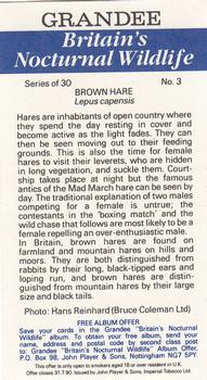 1987 Grandee Britain's Nocturnal Wildlife #3 Brown Hare Back