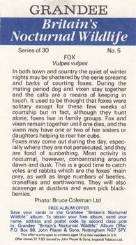 1987 Grandee Britain's Nocturnal Wildlife #5 Fox Back