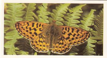 1983 Grandee British Butterflies #5 Pearl-Bordered Fritillary Front