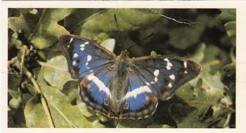 1983 Grandee British Butterflies #13 Purple Emperor Front