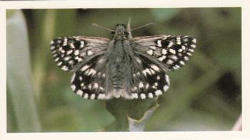 1983 Grandee British Butterflies #31 Grizzled Skipper Front