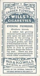 1910 Wills's Old English Garden Flowers #9 Evening Primrose Back
