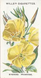 1910 Wills's Old English Garden Flowers #9 Evening Primrose Front