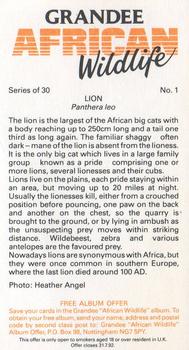 1990 Grandee African Wildlife #1 Lion Back