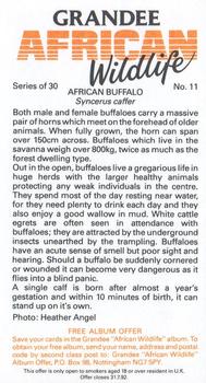 1990 Grandee African Wildlife #11 African Buffalo Back