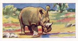 1962 Millers Tea Animals and Reptiles #4 Rhinoceros Front