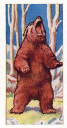 1962 Millers Tea Animals and Reptiles #7 Brown Bear Front