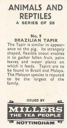 1962 Millers Tea Animals and Reptiles #9 Brazilian Tapir Back