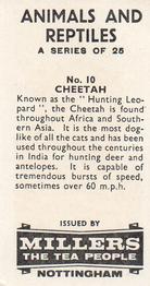 1962 Millers Tea Animals and Reptiles #10 Cheetah Back