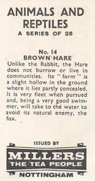 1962 Millers Tea Animals and Reptiles #14 Brown Hare Back