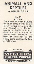 1962 Millers Tea Animals and Reptiles #25 Adder Back