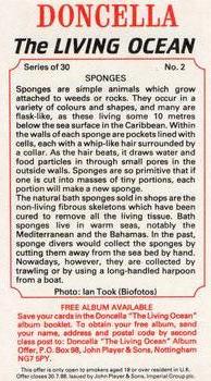 1985 Doncella The Living Ocean #2 Sponges Back
