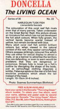 1985 Doncella The Living Ocean #22 Harlequin Tusk Fish Back