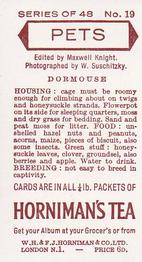 1960 Hornimans Tea Pets #19 Dormouse Back