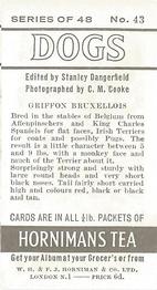 1961 Hornimans Tea Dogs #43 Griffon Bruxellois Back