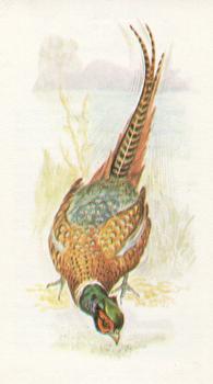1980 Grandee British Birds Collection #13 Pheasant Front