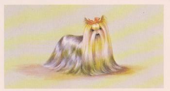 1979 Grandee Top Dogs Collection #1 The Yorkshire Terrier Front