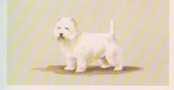 1979 Grandee Top Dogs Collection #11 The West Highland White Terrier Front