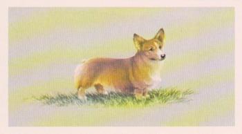 1979 Grandee Top Dogs Collection #20 The Welsh Corgi (Pembroke) Front