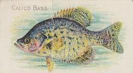 1910 American Tobacco Co. Fish Series (T58) #NNO Calico Bass Front