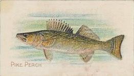 1910 American Tobacco Co. Fish Series (T58) #NNO Pike Perch Front