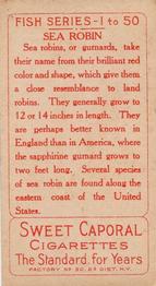 1910 American Tobacco Co. Fish Series (T58) #NNO Sea Robin Back