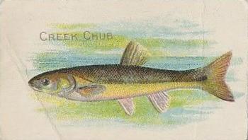 1910 American Tobacco Co. Fish Series (T58) - Sovereign Cigarettes Factory 25 #NNO Creek Chub Front