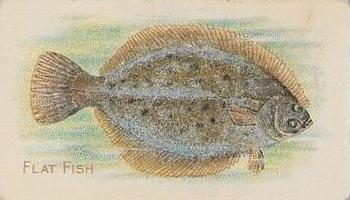 1910 American Tobacco Co. Fish Series (T58) - Sovereign Cigarettes Factory 25 #NNO Flat Fish Front