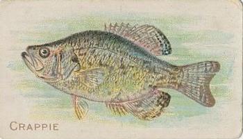 1910 American Tobacco Co. Fish Series (T58) - Piedmont Cigarettes Factory 25 #NNO Crappie Front
