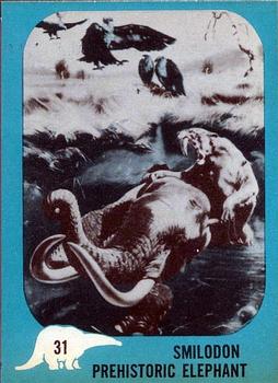 1961 Nu-Cards Dinosaur Series #31 Smilodon / Prehistoric Elephant Front
