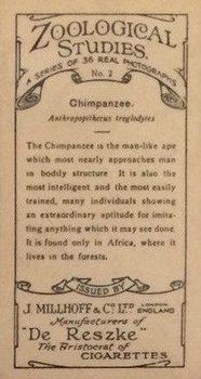 1929 De Reszke Zoological Studies #2 Chimpanzee Back