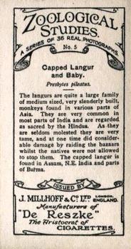 1929 De Reszke Zoological Studies #5 Capped Langur and Baby Back