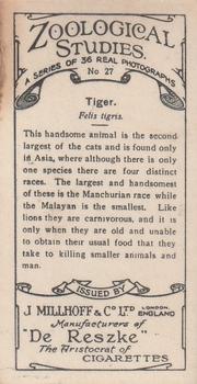 1929 De Reszke Zoological Studies #27 Tiger Back