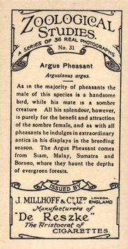 1929 De Reszke Zoological Studies #31 Argus Pheasant Back