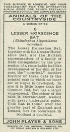 1939 Player's Animals of the Countryside #6 Lesser Horseshoe Bat Back