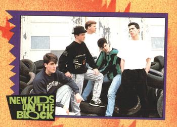 1989 O-Pee-Chee New Kids on the Block #11 NKOTB Quiz! Question #1 Front