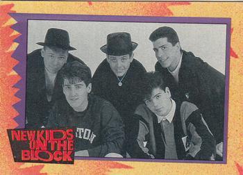 1989 O-Pee-Chee New Kids on the Block #16 NKOTB Quiz! Question #6 Front