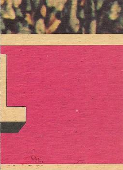 1977 O-Pee-Chee Charlie's Angels #98 Beautiful Sleuth! Back