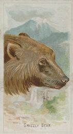 1888 Allen & Ginter Wild Animals of the World (N25) #NNO Grizzly Bear Front