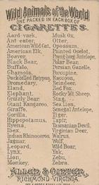 1888 Allen & Ginter Wild Animals of the World (N25) #NNO Porcupine Back