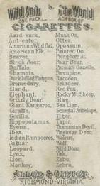 1888 Allen & Ginter Wild Animals of the World (N25) #NNO Rocky Mountain Sheep Back