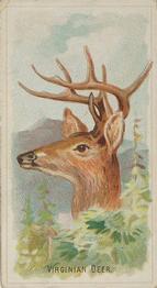 1888 Allen & Ginter Wild Animals of the World (N25) #NNO Virginian Deer Front