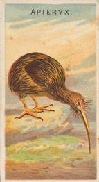 1889 Allen & Ginter Birds of the Tropics (N5) #NNO Apteryx Front