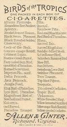 1889 Allen & Ginter Birds of the Tropics (N5) #NNO Lyre Bird Back