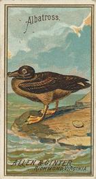 1888 Allen & Ginter Birds of America (N4) #NNO Albatross Front