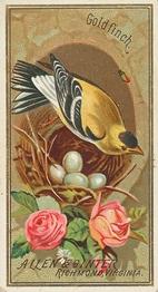1888 Allen & Ginter Birds of America (N4) #NNO Goldfinch Front