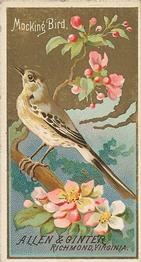 1888 Allen & Ginter Birds of America (N4) #NNO Mocking Bird Front