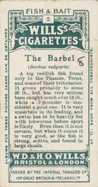 1910 Wills's Cigarettes Fish & Bait #2 Barbel Back
