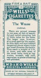 1910 Wills's Cigarettes Fish & Bait #13 Wrasse Back